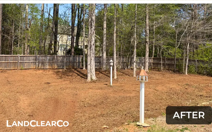Same area after mulching