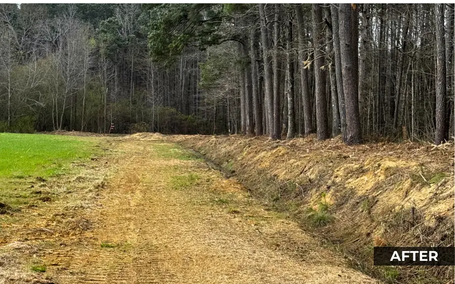 Same field edge after mulching