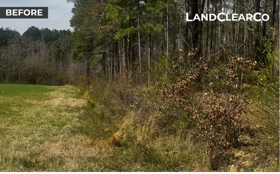 Overgrown field edge before mulching