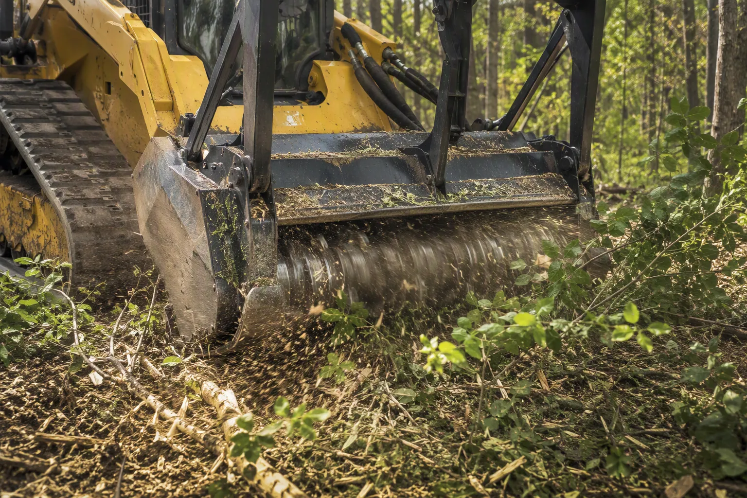 CAT forestry mulcher grinding brush and undergrowth in the woods