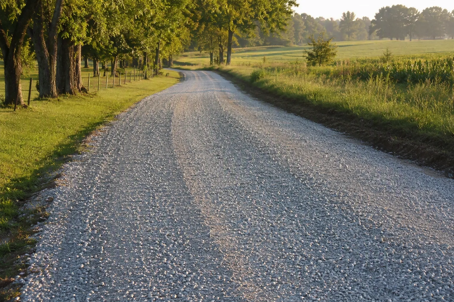 Fresh crushed gravel driveway winding through rural North Carolina farmland